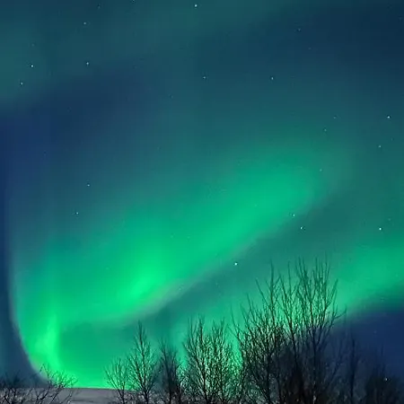 Tromsdalen Aurora Apartment *